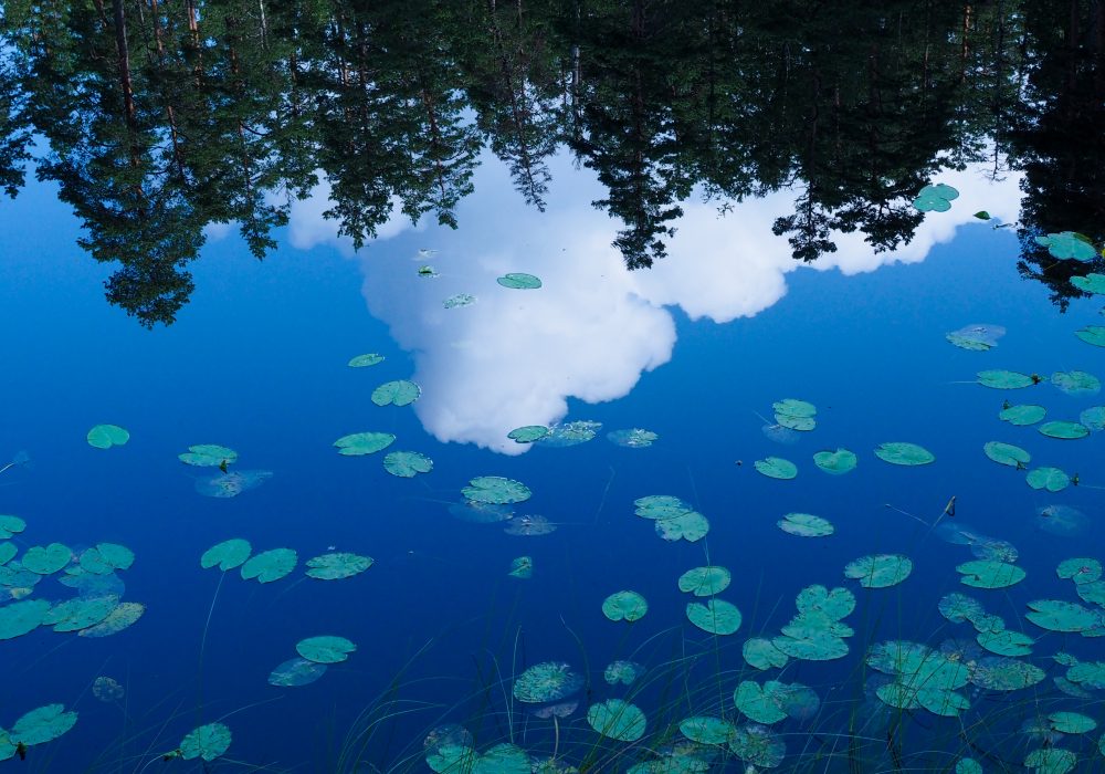 Nuuksio Classic -polkumaratonin varrella on yhteensä 11 kaunista lampea. Kuva: Terhi Jaakkola